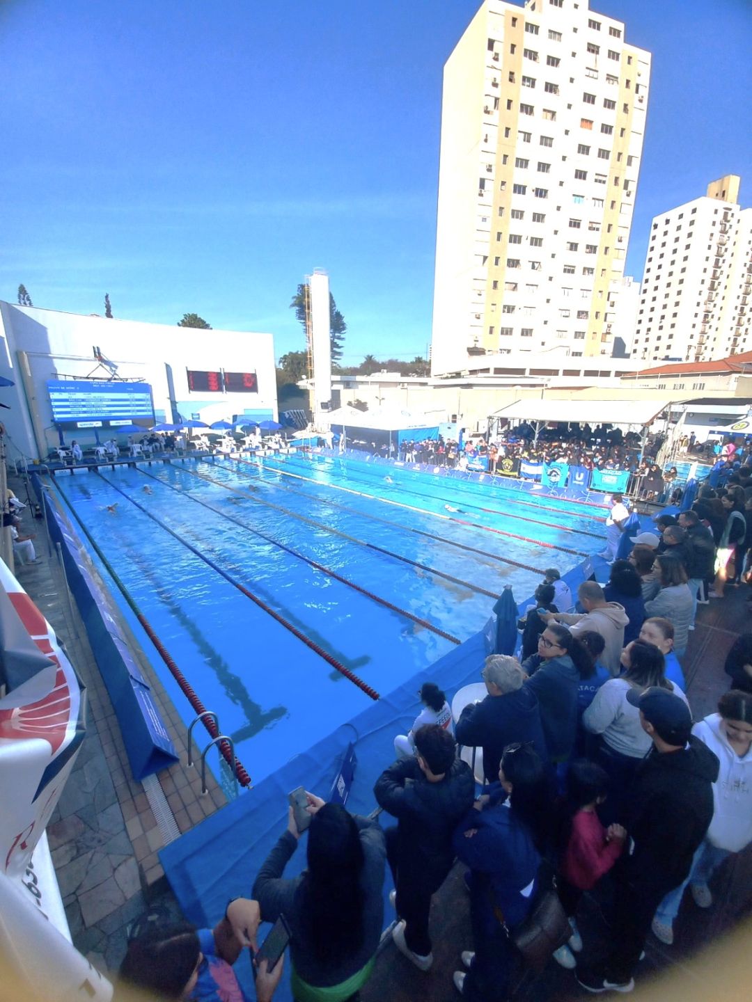 Clube de Tênis Catanduva sedia Campeonato Paulista Infantil de Natação